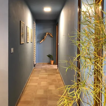 Apartment Blue Apricot Con Jacuzzi *